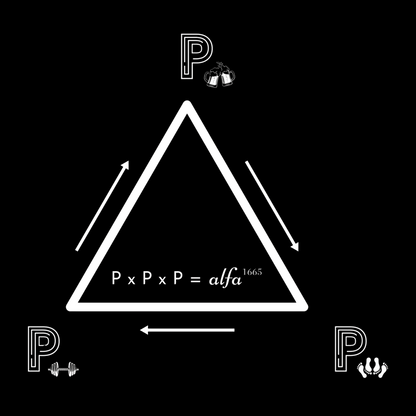 Qua Patet Orbis Sticker Pakket - 5 Stuks